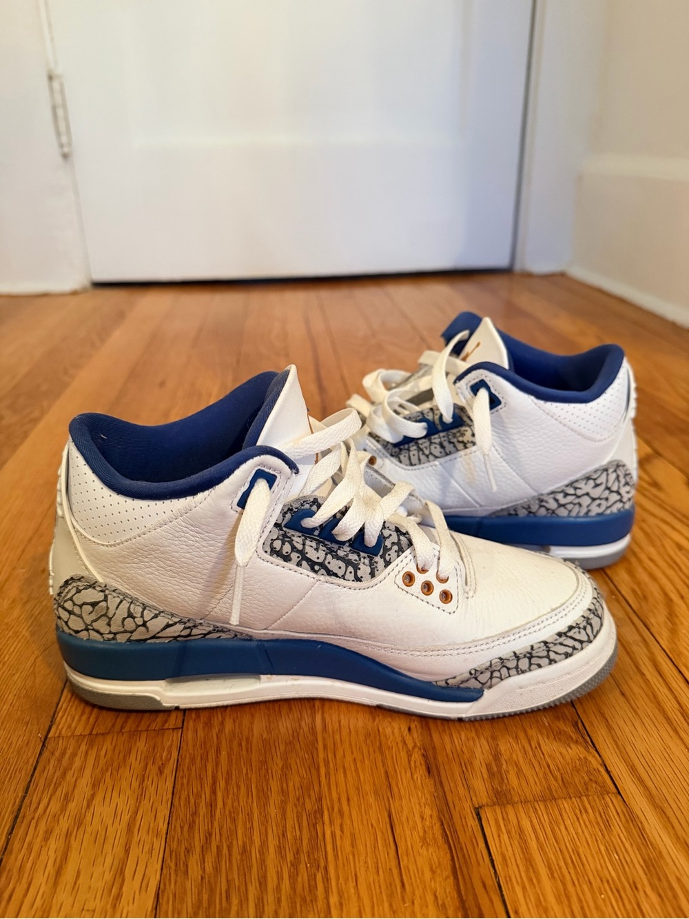 Youth Jordan 3 True Blue
